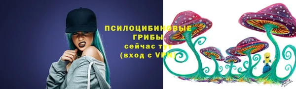 прущая мука Гусиноозёрск
