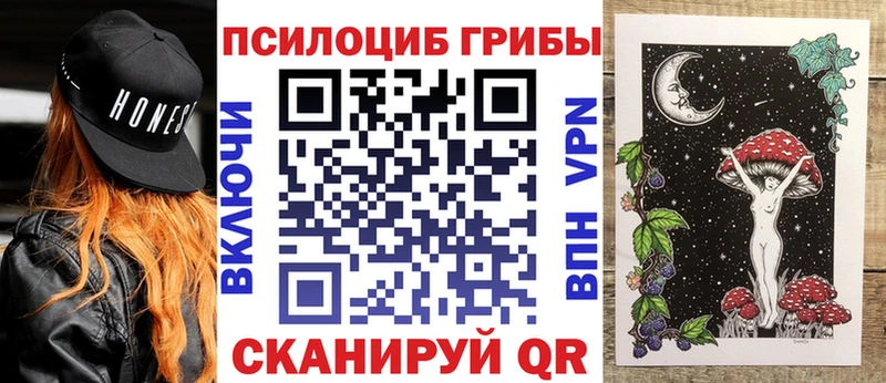 где купить наркотик  Джанкой  Псилоцибиновые грибы GOLDEN TEACHER 